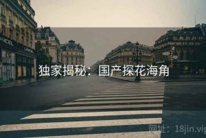 独家揭秘：国产探花海角