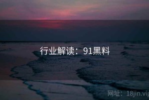 行业解读：91黑料