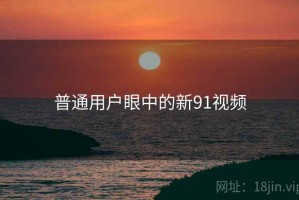 普通用户眼中的新91视频