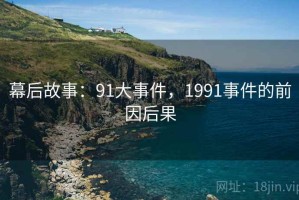 幕后故事：91大事件，1991事件的前因后果