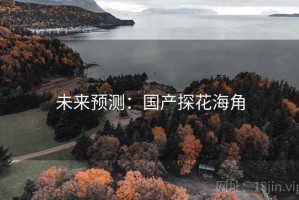 未来预测：国产探花海角