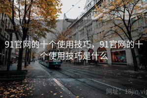 91官网的十个使用技巧，91官网的十个使用技巧是什么