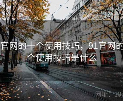 91官网的十个使用技巧，91官网的十个使用技巧是什么