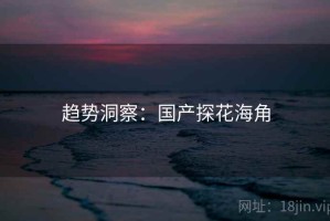 趋势洞察：国产探花海角