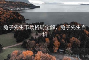 兔子先生市场格局全解，兔子先生百科