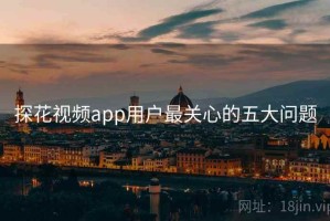 探花视频app用户最关心的五大问题