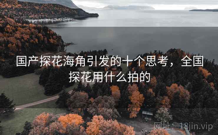 国产探花海角引发的十个思考，全国探花用什么拍的