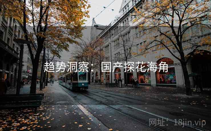 趋势洞察：国产探花海角