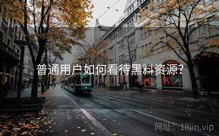普通用户如何看待黑料资源？
