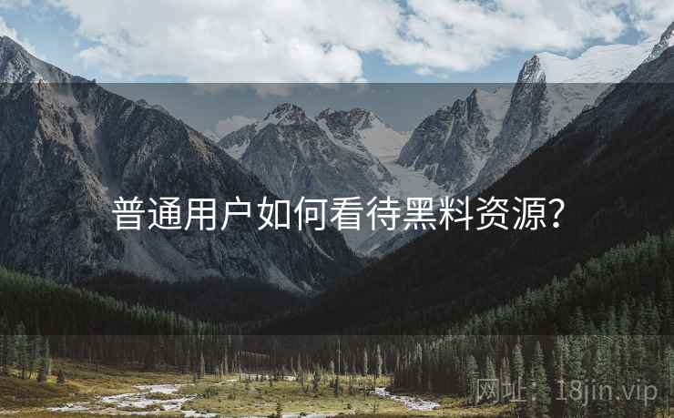 普通用户如何看待黑料资源？