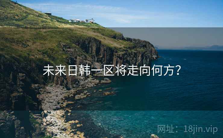 未来日韩一区将走向何方？