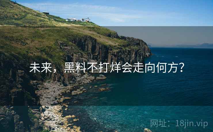 未来，黑料不打烊会走向何方？