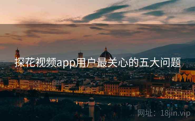 探花视频app用户最关心的五大问题