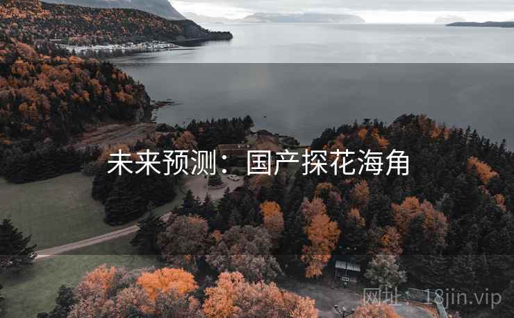 未来预测：国产探花海角