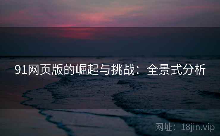 91网页版的崛起与挑战：全景式分析
