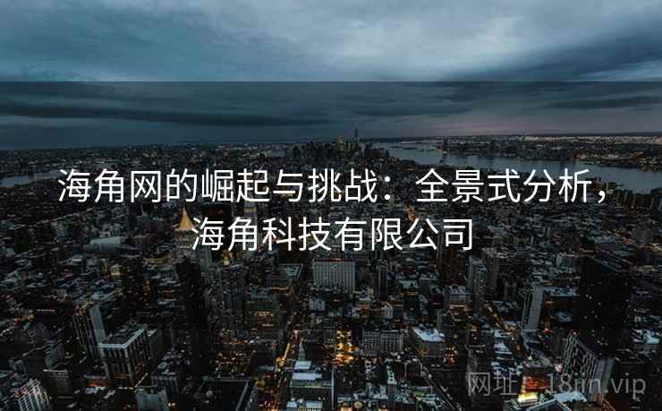 海角网的崛起与挑战：全景式分析，海角科技有限公司