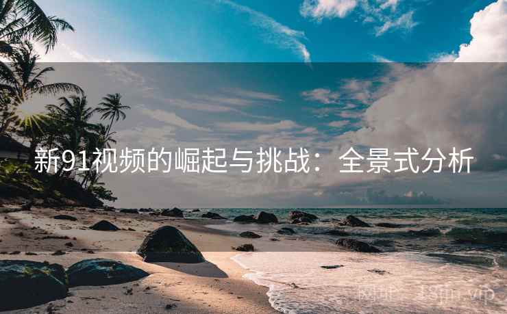 新91视频的崛起与挑战：全景式分析